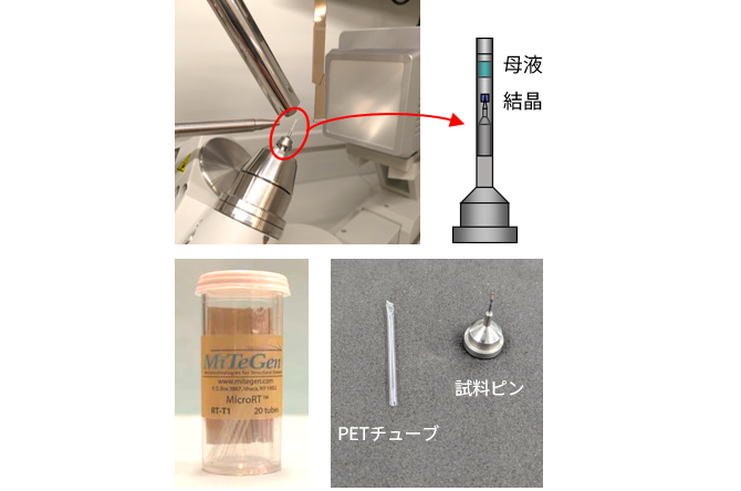 室温条件における蛋白質結晶の高速測定