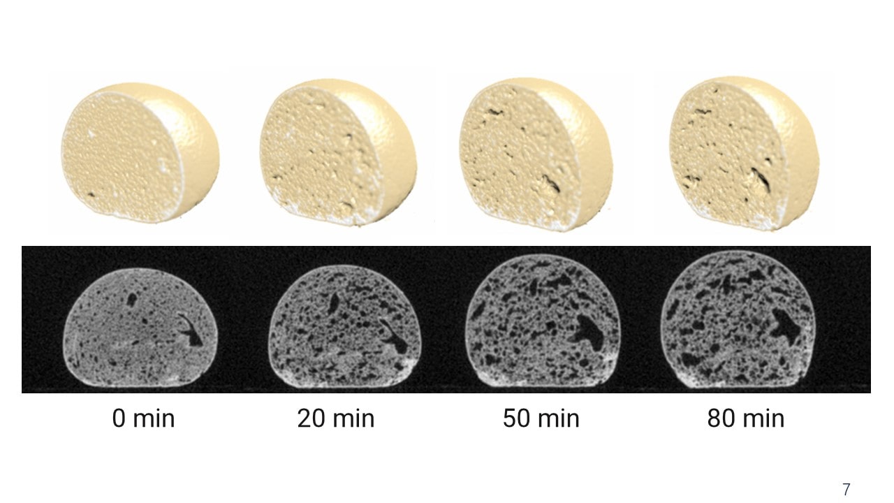 Bread Dough Rising Process Observed by X-ray CT